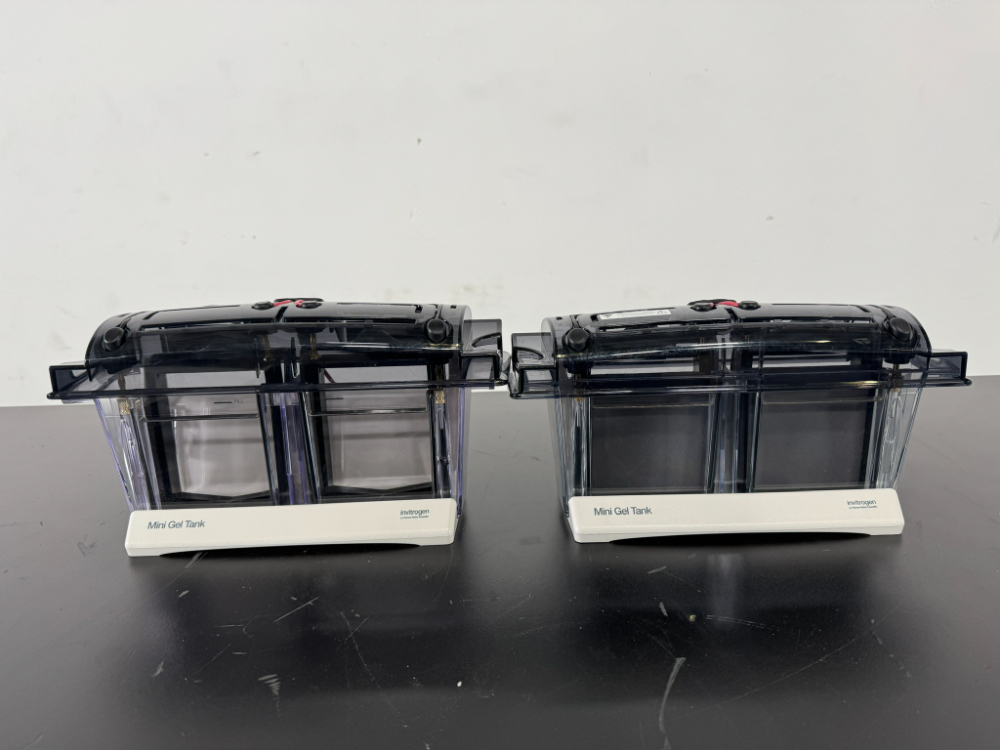 Image of Invitrogen Mini Gel Tanks - Quantity 2